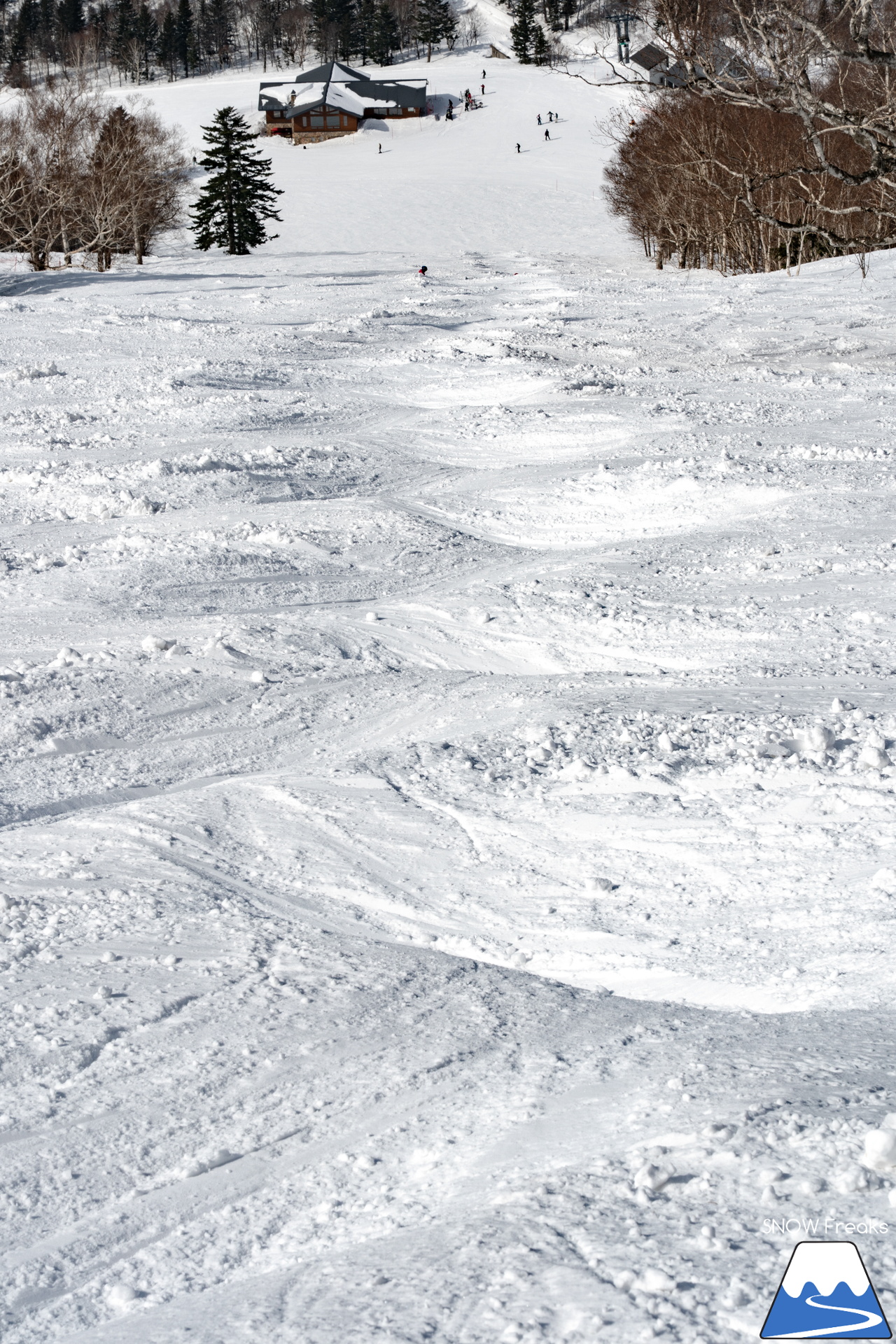 キロロリゾート｜今日の山頂積雪は「340cm」！ビシッと締まったロングコースで快適クルージングが楽しい１日♪